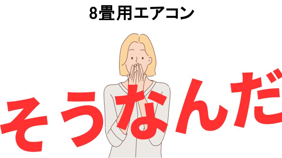 意味ないと思う人におすすめ！8畳用エアコンの代わり